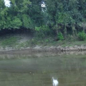 Meet your Posher, Greg